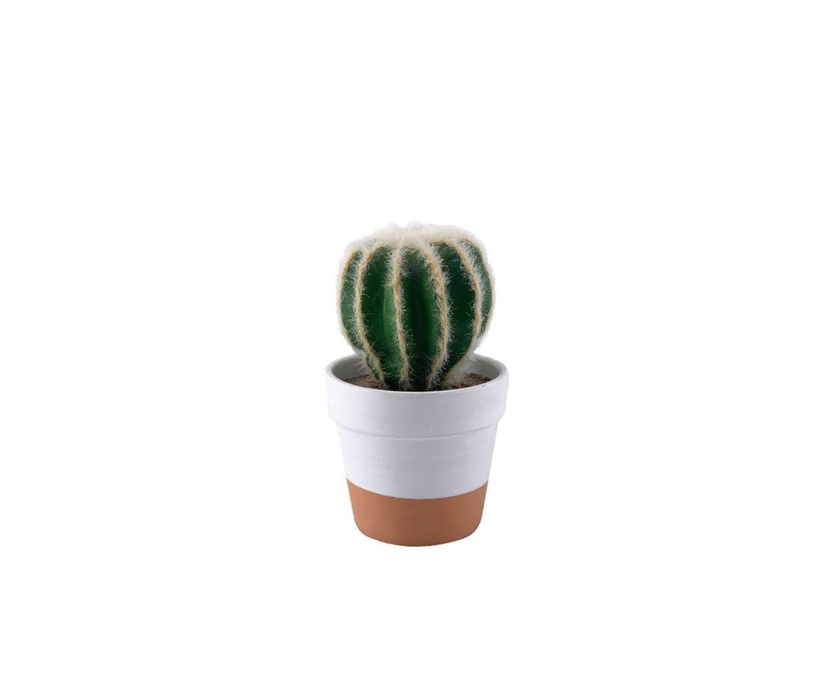Cactus a botte in vaso finto